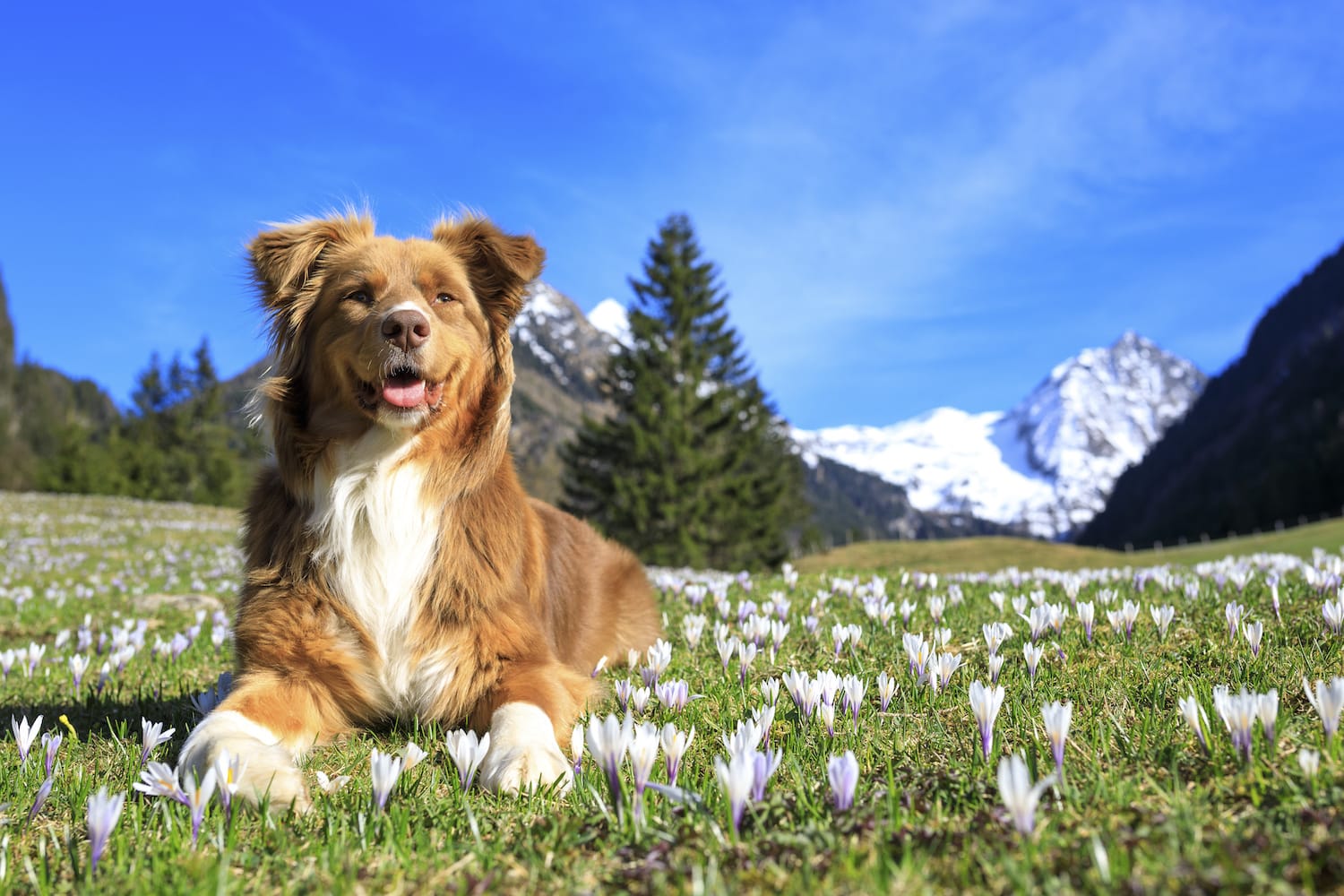 Steiermark Tourismus Photo austria.at